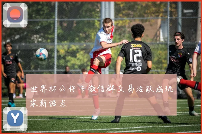 世界杯公仔卡微信群交易活跃成玩家新据点