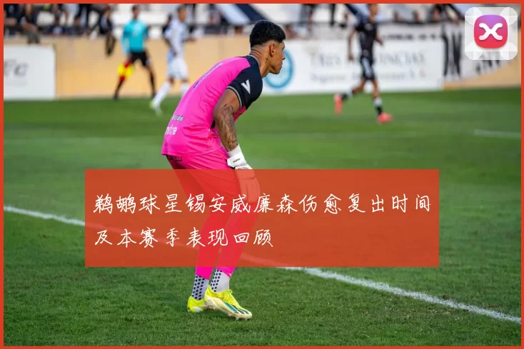 鹈鹕球星锡安威廉森伤愈复出时间及本赛季表现回顾