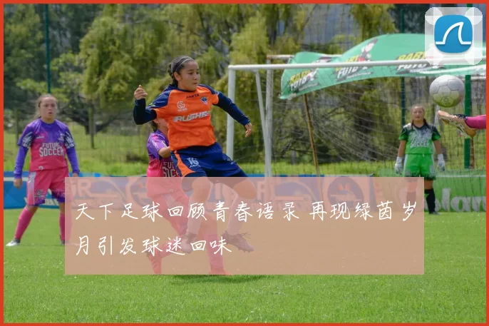 天下足球回顾青春语录 再现绿茵岁月引发球迷回味