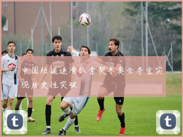 中国短道速滑队索契冬奥会夺金实现历史性突破