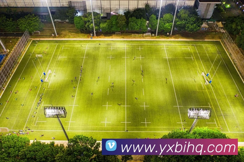 leyu-乐鱼体育平台生态图