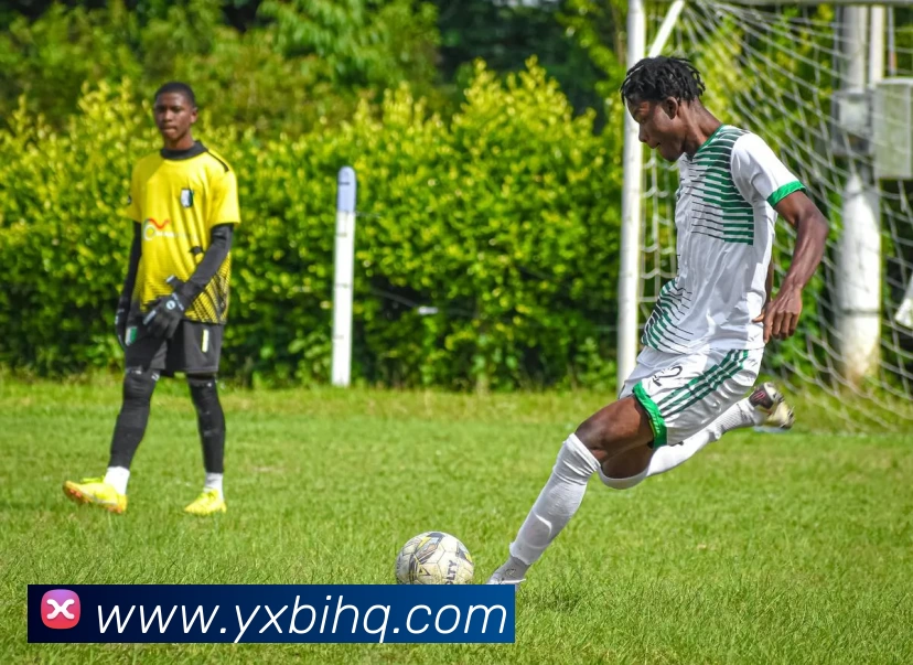 leyu-乐鱼体育APP 封面图